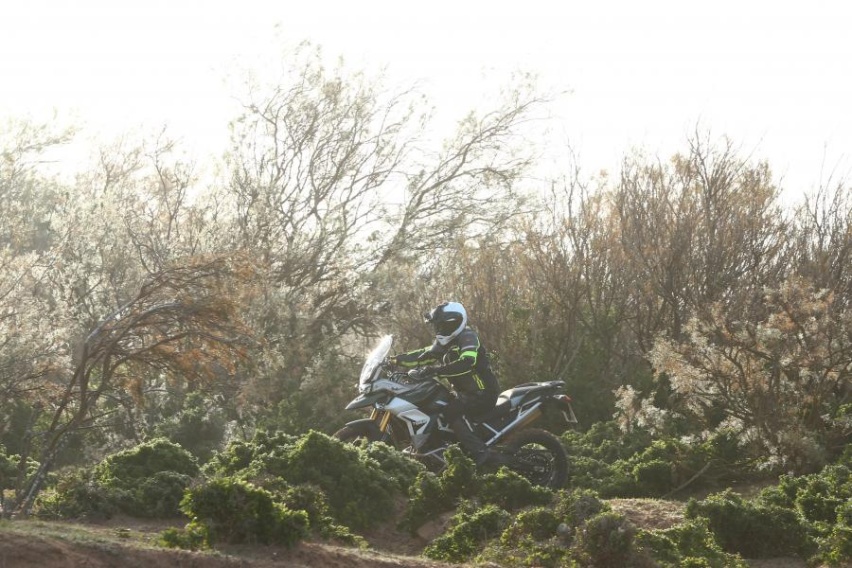 另类探险风格 凯旋TIGER 900 2020款外媒测评