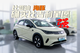 A0级全方位对比｜比亚迪海豚确实比吉利星愿强！