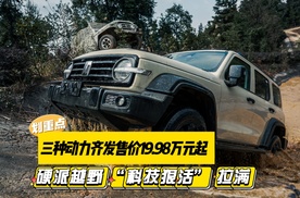 售价19.98万元起 2025款坦克300上市 硬派越野“科技狠活”拉满