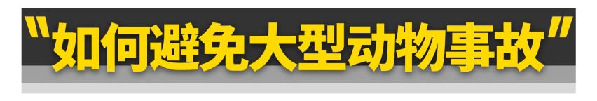 “谢大脚”车祸身亡,全景天窗真不安全?