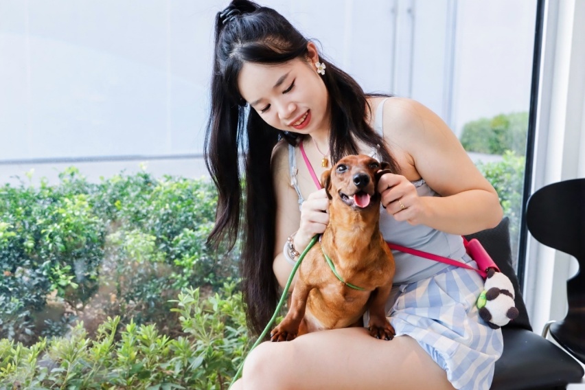 七夕“宠”你，共赴美好 ——星海S7玩美学院首场萌宠派对