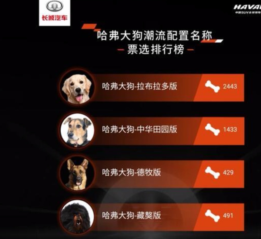 哈弗大狗9月下旬上市!新车值得期待吗?