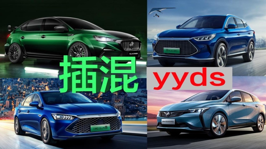 插混yyds！10来万预算选插电混动车型才是正解？