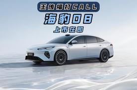 王传福打CALL！海豹08上市在即
