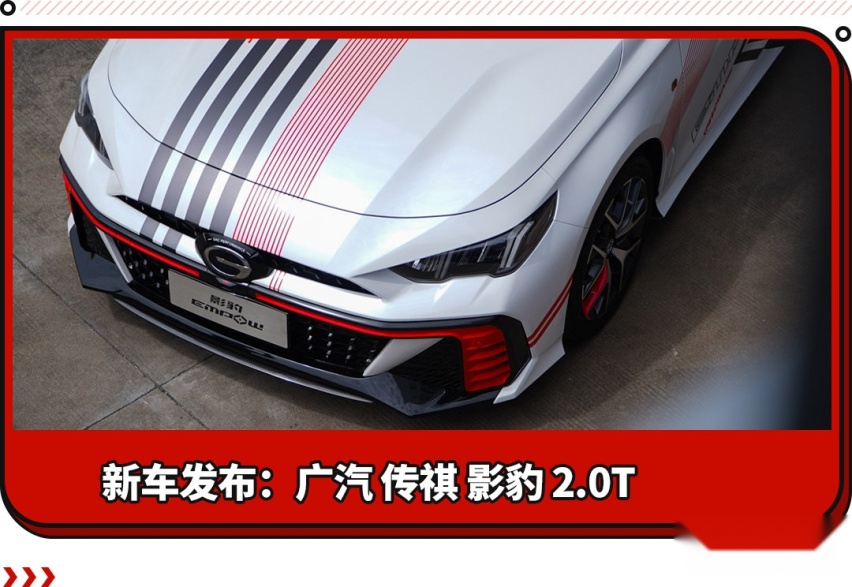 中国最强钢炮？265马力+8AT 这性能版影豹有点凶！