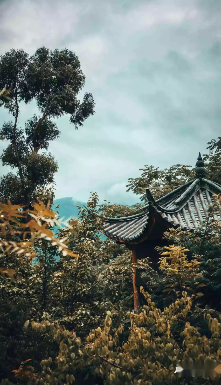凯迪拉克XT6：用敬畏之心，知停而后升 | 大理试驾