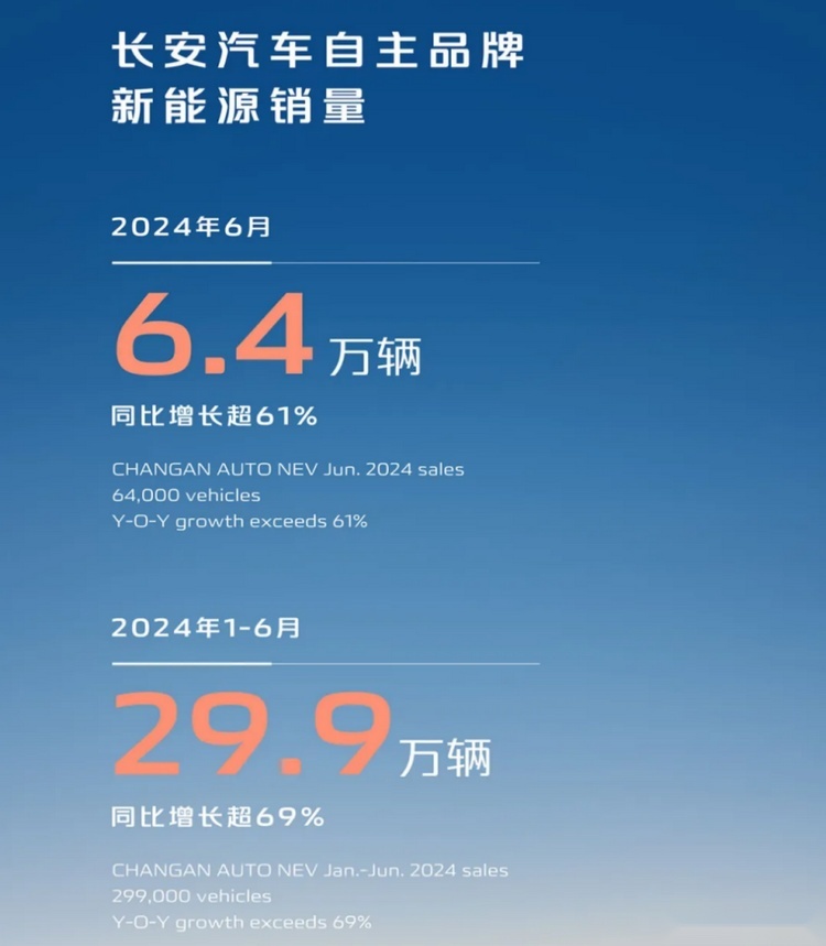 2024年上半年汽车行业销量洞察：新能源的突破与崛起
