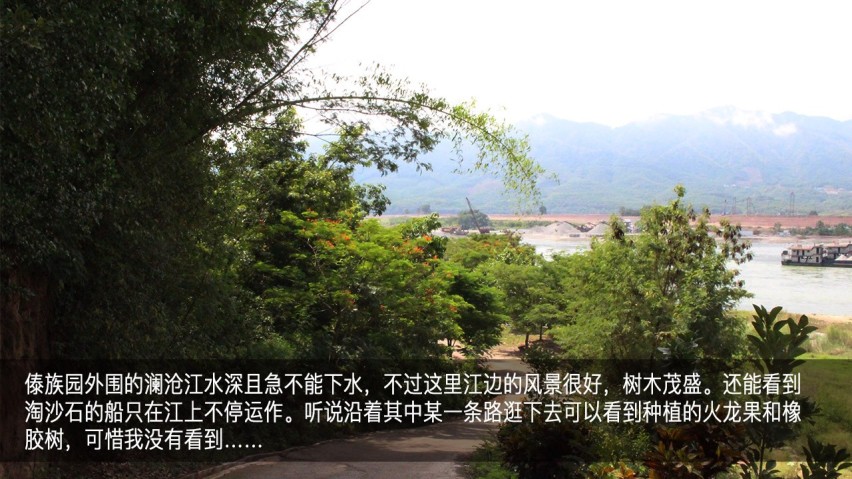 吉利幸福花田测和初恋的夏天—彩云之南西双版纳