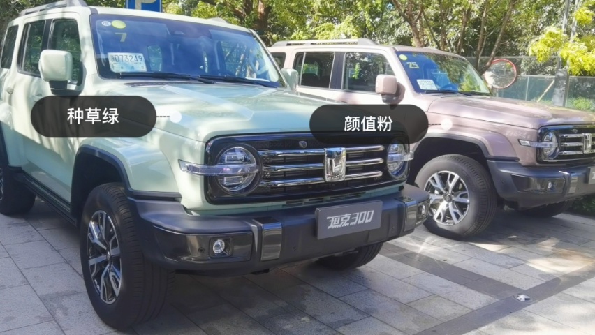 2021年上市的国产SUV，这5款值得买，最低不到8万起售！