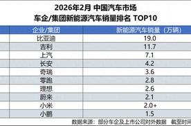 比亚迪稳坐2月新能源销冠，头部优势依旧明显