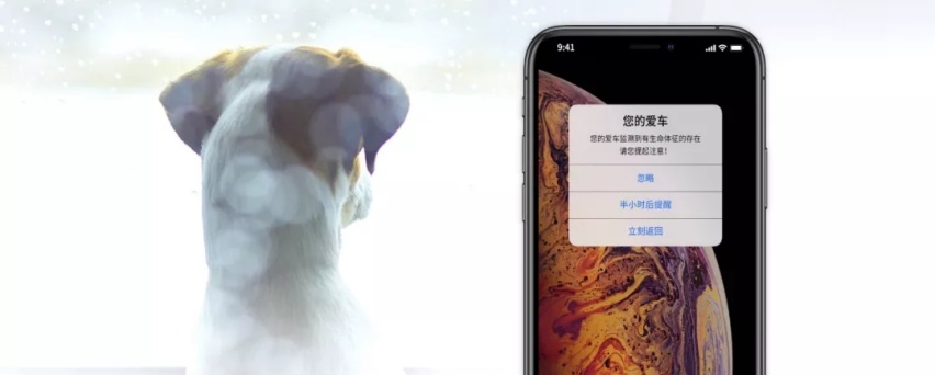 押注智能安全,哪吒以差异化抢滩诺曼底