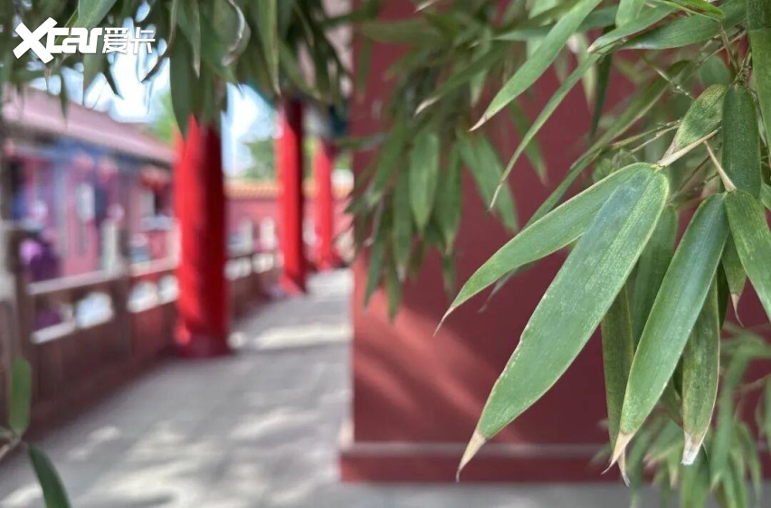 新能源渗透率突破60%，中国车市却到了最危险的时刻？| 聚论