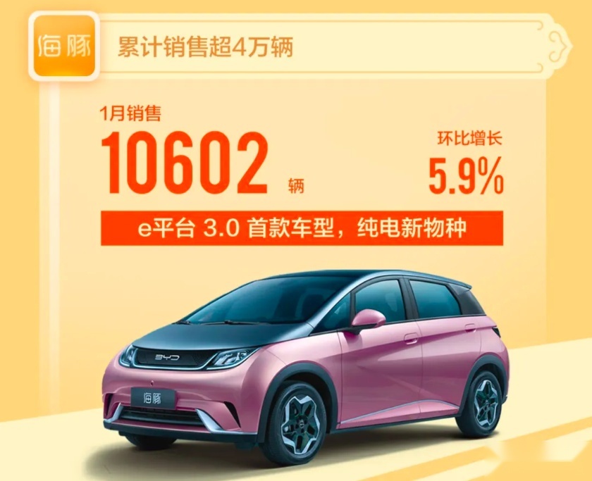 比亚迪海洋网旗开得胜，海豚1月销量破万辆，热销背后原因是什么