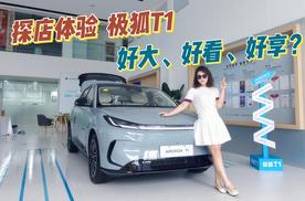 探店体验 极狐T1：好大、好看、好享？