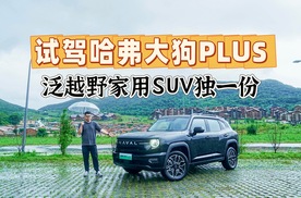 试驾哈弗大狗PLUS，预售11.28万起，泛越野家庭SUV独一份