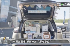 外放电也可以如此强大，岚图岚海智混新玩法解读