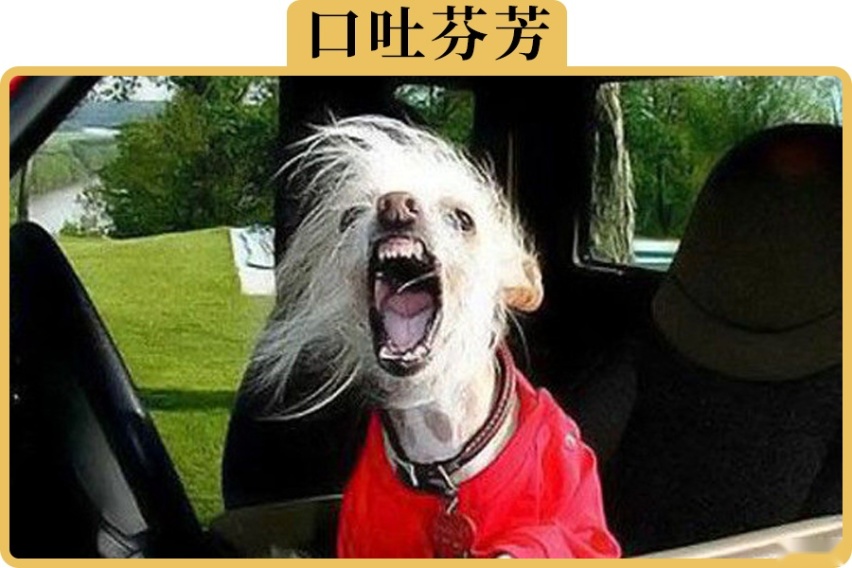开车为什么老被副驾驶上的人骂