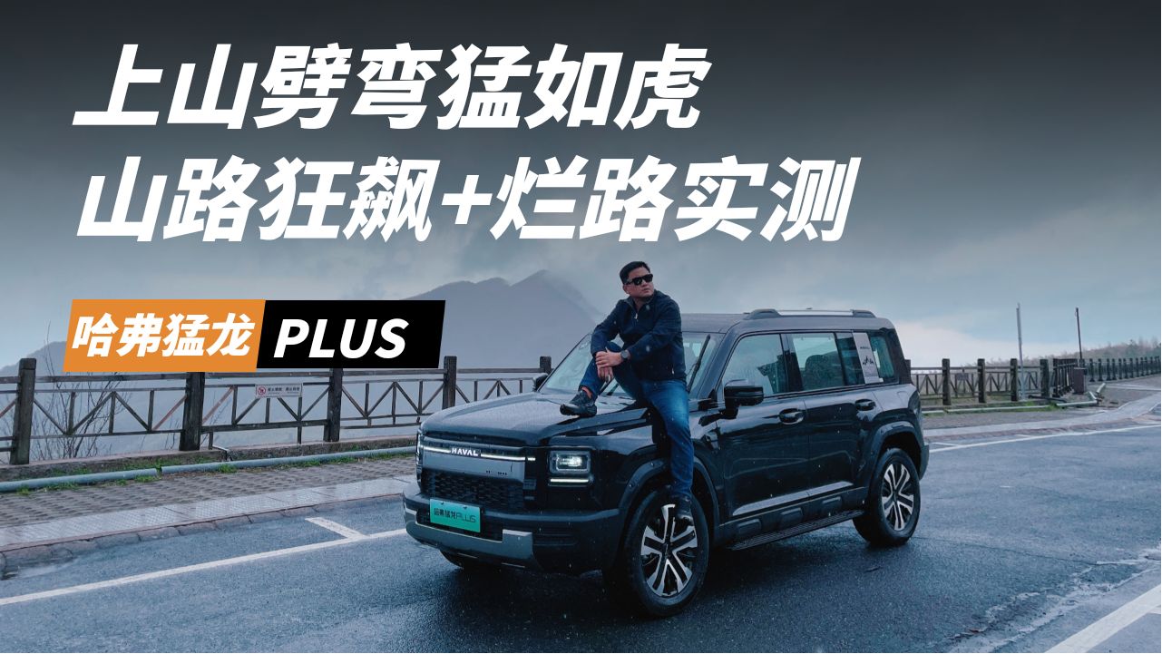 ��ɽ�������绢����������PLUS ˫����Ա��棬����ǵķ�����