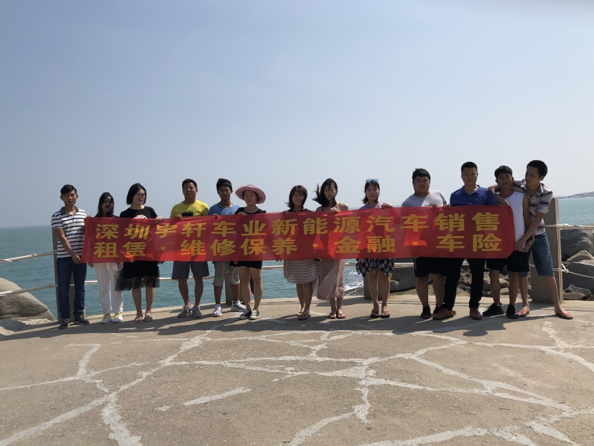 新能源汽车 纯电动面包车  新能源货运车 纯电动物流车 帅客