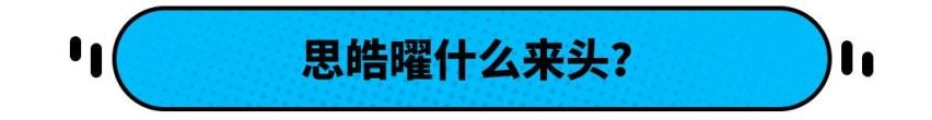 獠牙前杠配奔驰S级大屏！这款中国轿车 要让影豹无路可走？