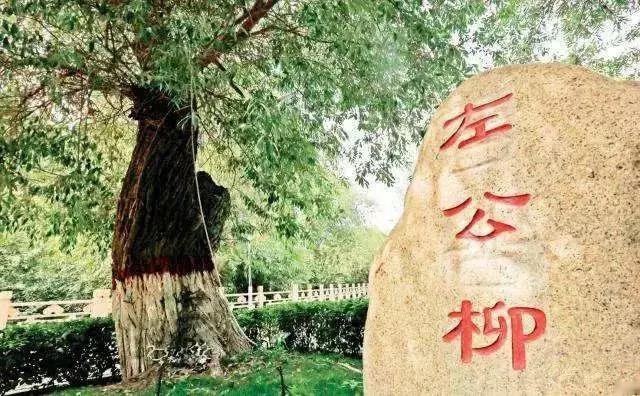 前有左公柳，后有域虎9，国门因而安宁