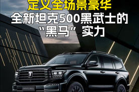 定义全场景豪华 全新坦克500黑武士的“黑马”实力