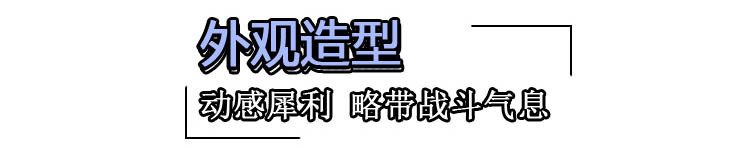 换上一身劲装 实拍解读广汽丰田雷凌运动版