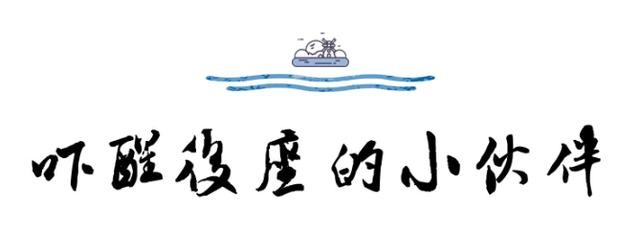 试驾时放开双手双脚吓醒小伙伴,这不是冒险是常规操作