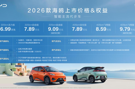 比亚迪2026款海鸥正式上市，售价6.99-9.79万元