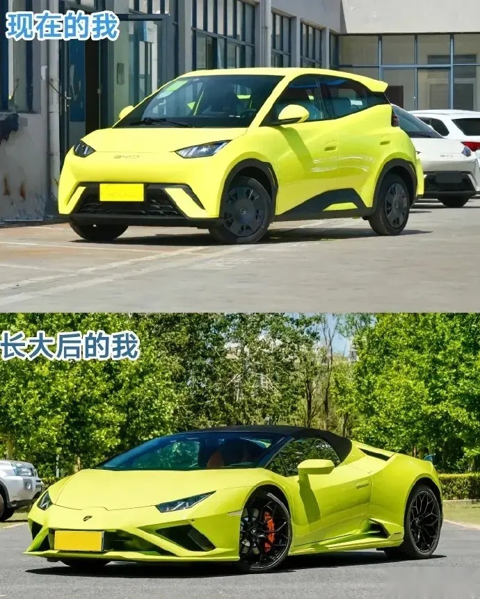 青春版“兰博基欧”应该怎么改？比亚迪海鸥改装案例合集