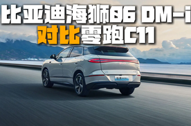 15万预算选家用新能源SUV，海狮06 DM-i跟零跑C11，该咋个选