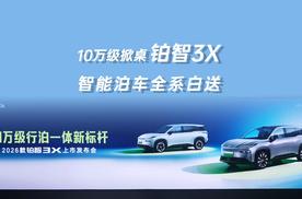 10万级掀桌！铂智3X智能泊车全系白送