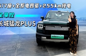 5/7座+全系电四驱+255km纯电 全拿捏，长城猛龙PLUS正式上市