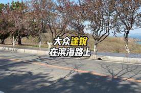 大众途锐在滨海路上