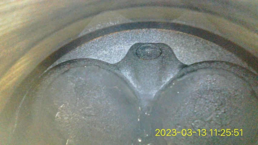 新途胜烧机油尝试使用司有普原液治理烧机油