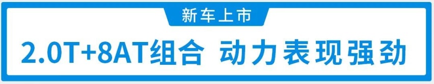标配2.0T+8AT，刚上市这豪华SUV入门即高配！