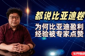 都在说比亚迪卷，为何专家点赞比亚迪的盈利模式？