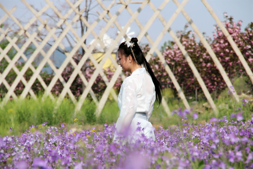 #踏青必备座驾#于汉服小妹自驾雪佛兰开拓者邂逅布拉格香草园