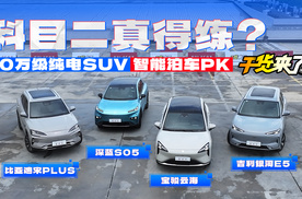 【干货来了】吉利、比亚迪、深蓝、宝骏，10万级智能泊车哪家强？