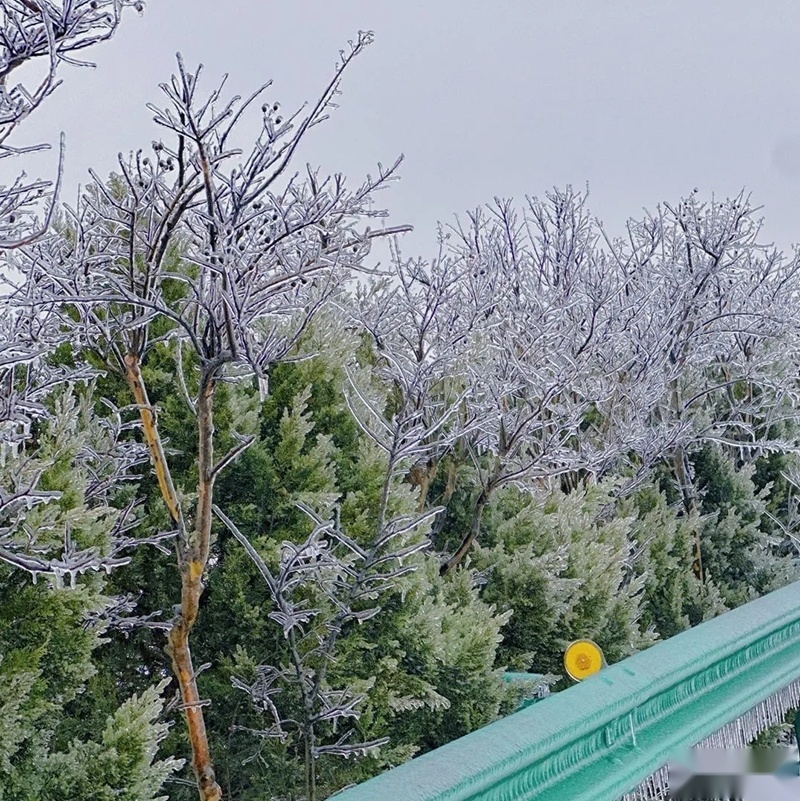 湖北春运遇极端暴雪 给新能源皮卡带来哪些启示？