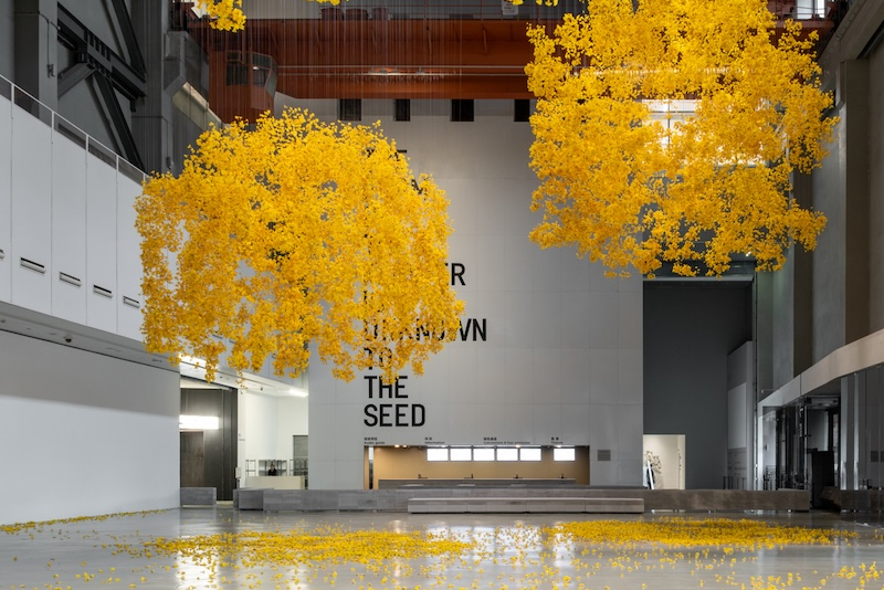 ���Ϻ��p��չż���v��Z9GT�����ܷ�����ˇ�gչ���أ�