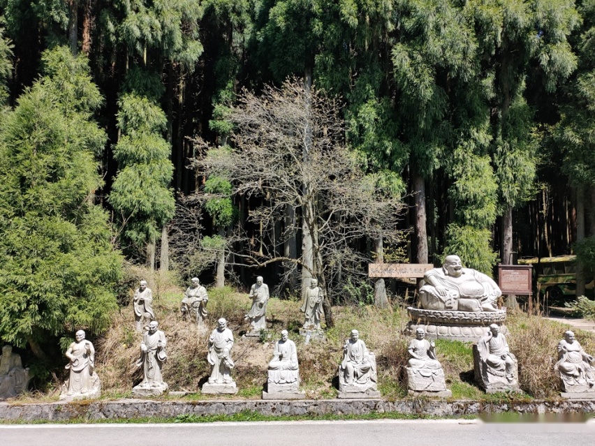 武陵山南天门看日出日落，森林步道路漫步吸氧，重庆避暑好去处！