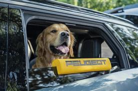 面向宠物犬打造车载体验，标致 E-5008 “狗狗版概念车” 正式发布