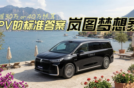 不管你手握30万还是40万，MPV的标准答案，都叫岚图梦想家