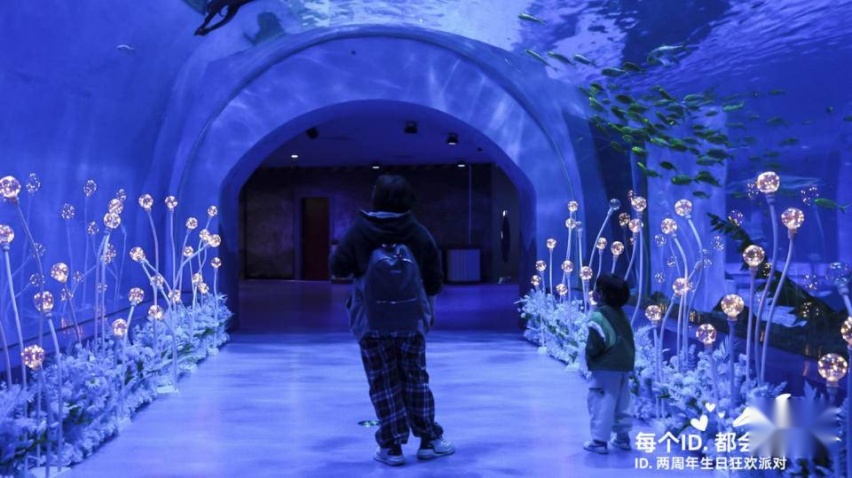 每个ID. 都会相遇——ID. 两周年生日狂欢派对圆满落幕