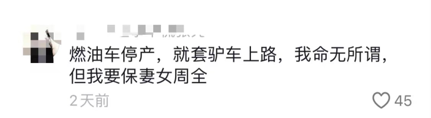 买纯油车还是新能源车？油电之争把大家都搞懵了！