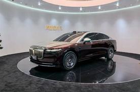 2025成都车展：岚图追光L正式亮相