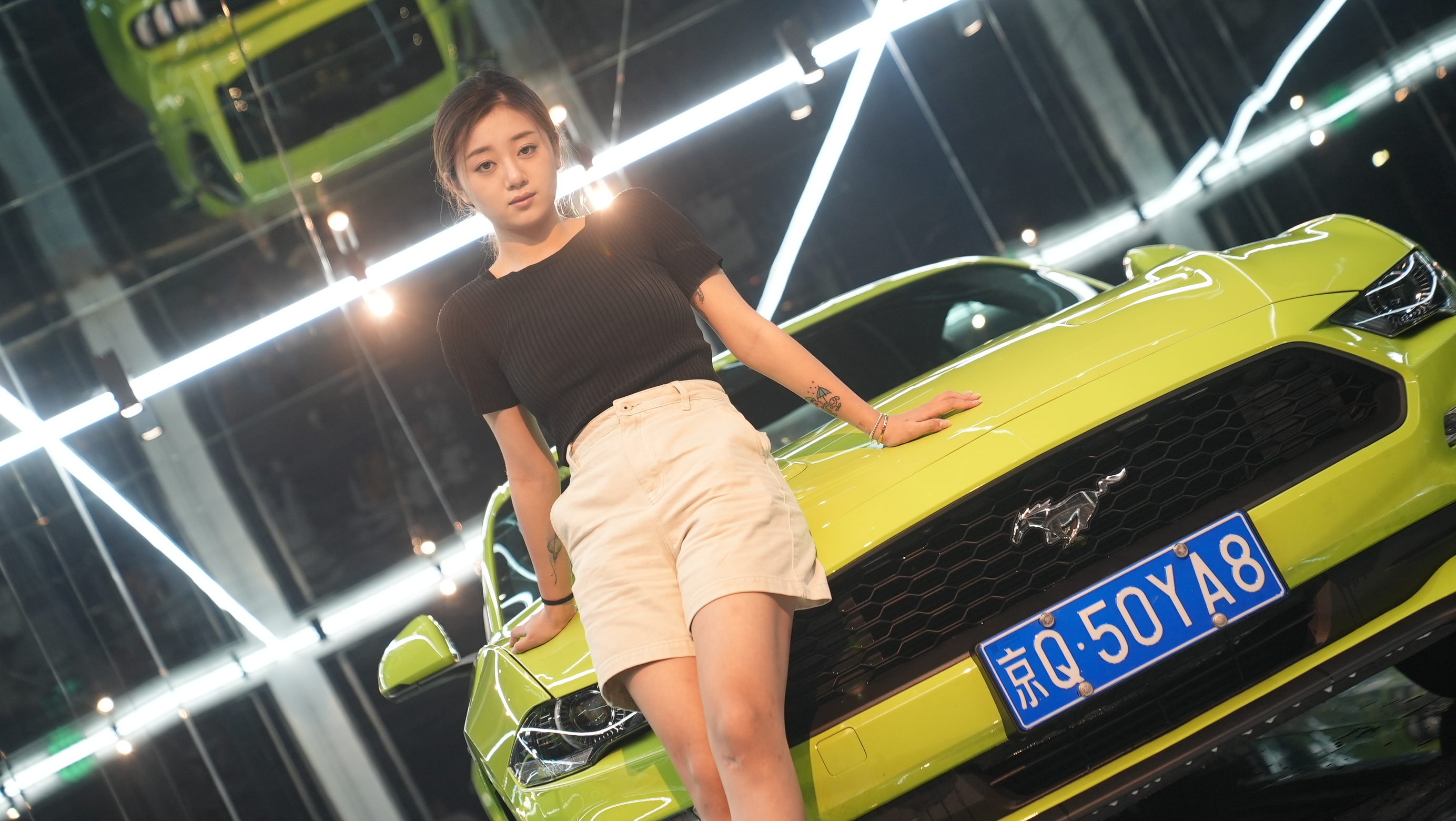 v낀o Mustangԓζxأ