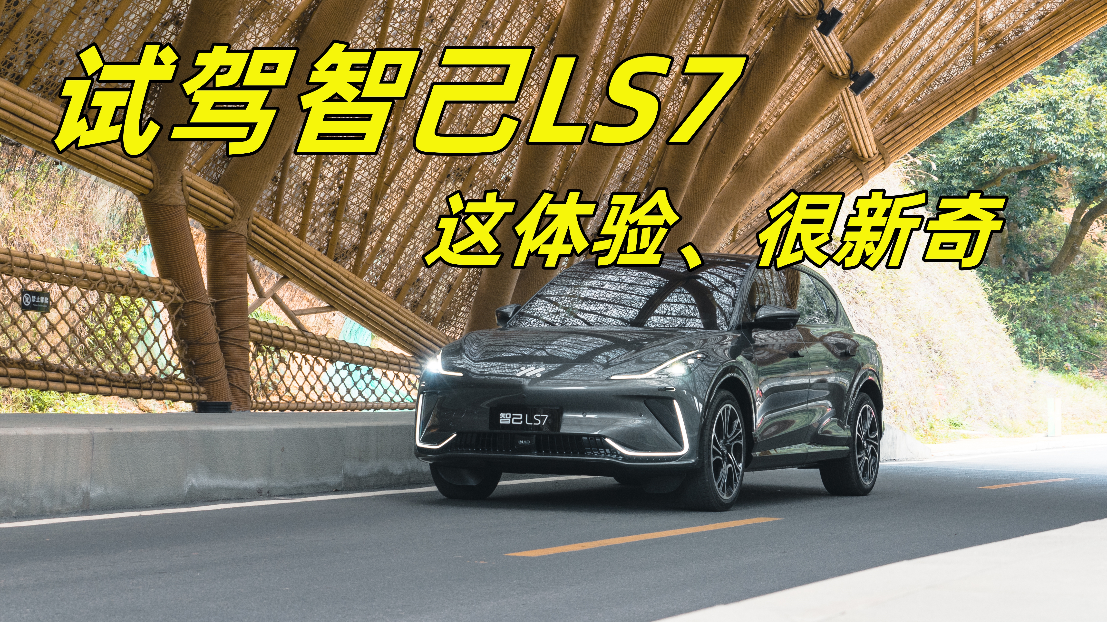 ԇ{ǼLS7@(d)صôˆ᣿