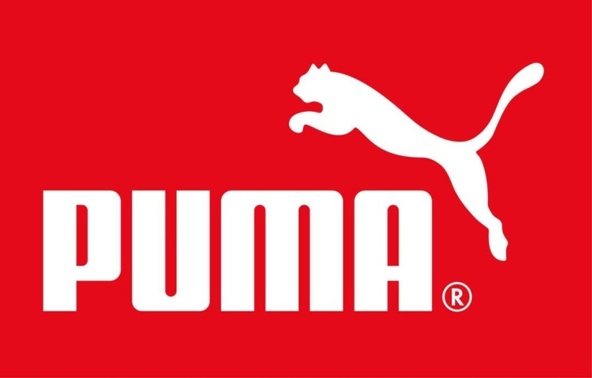“彪马”牌6速手动SUV钢炮？PUMA ST会引进国内吗？